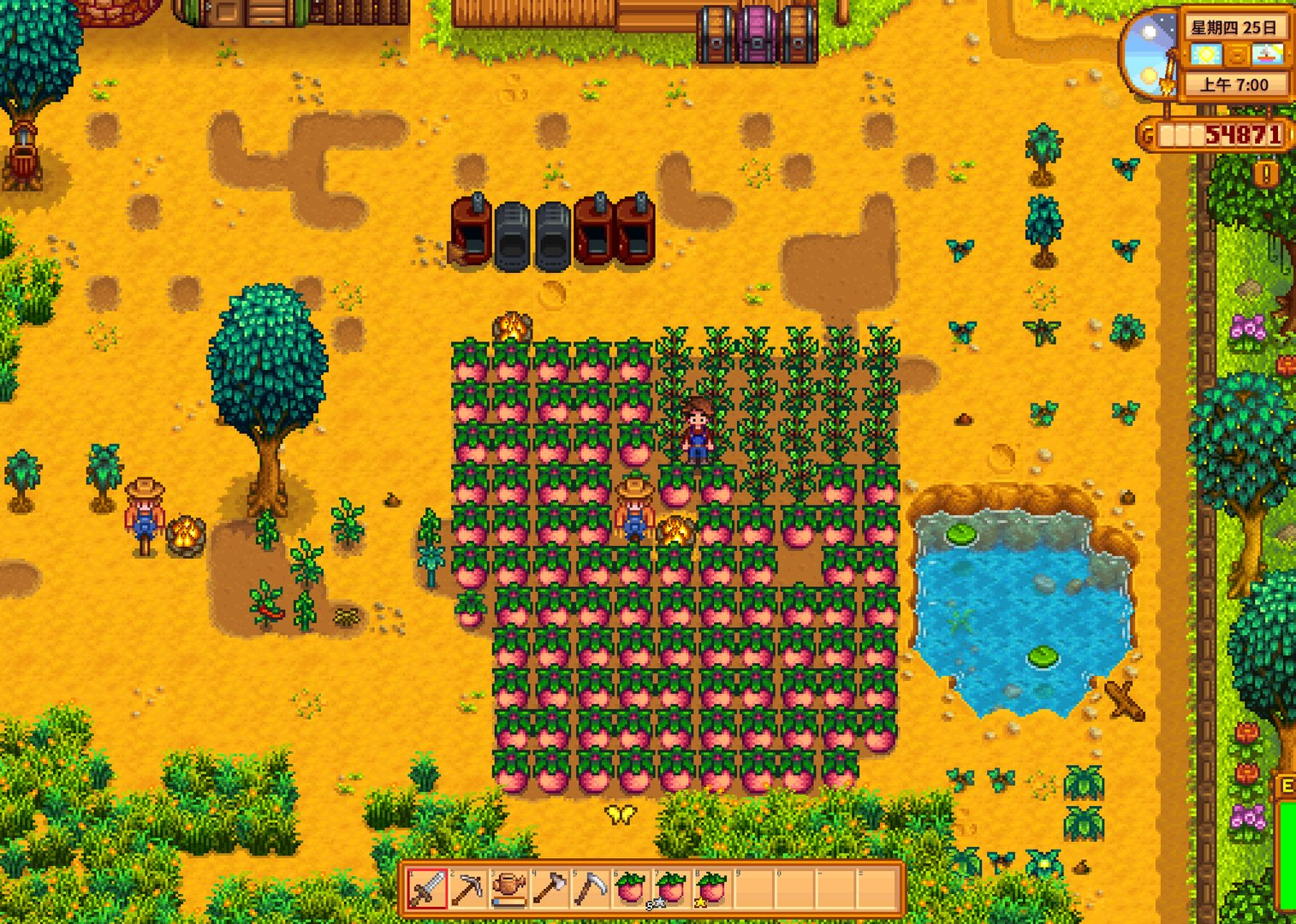 塞尔达传说：旷野之息 截图16